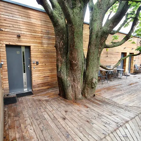 Flight Park Javorovy Hostel *