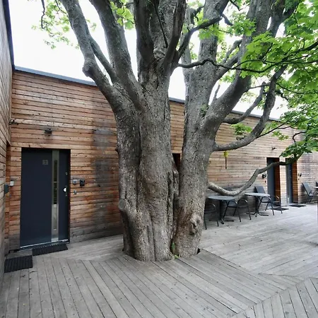 Flight Park Javorovy Hostel Trinec